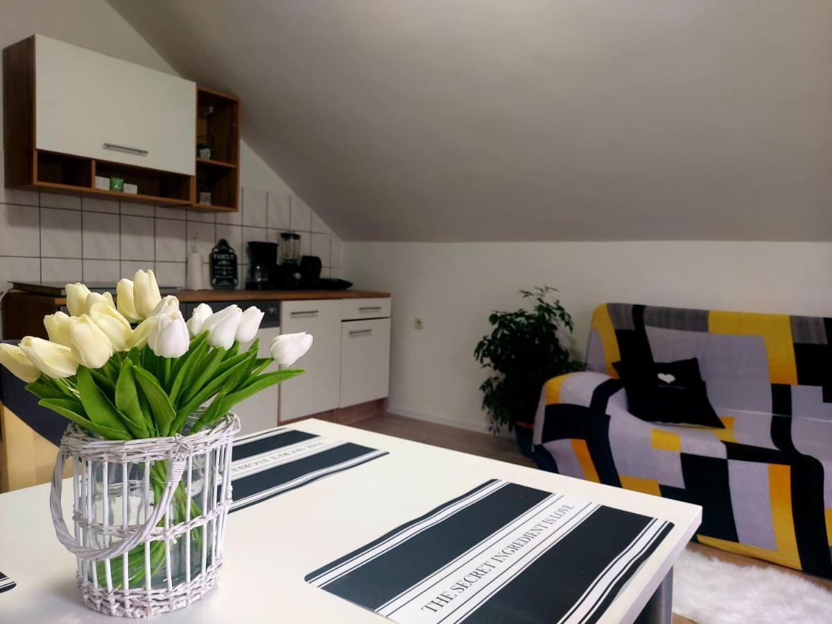 Guest House Gacka Rogic Otočac Εξωτερικό φωτογραφία