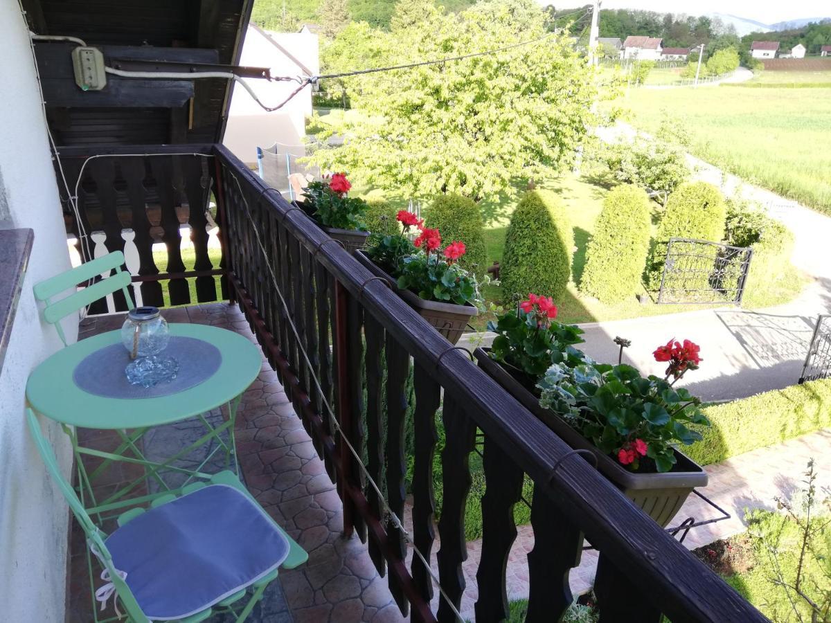 Guest House Gacka Rogic Otočac Εξωτερικό φωτογραφία
